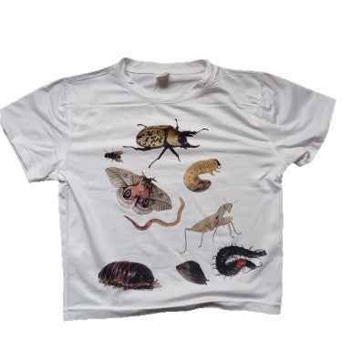 Female Casual Insect Print Midriff-baring Short Sleeve