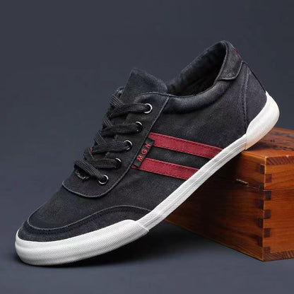 Breathable Casual Large Size Shoes Summer Men's Shoes Canvas 8152 Black GlamzKart